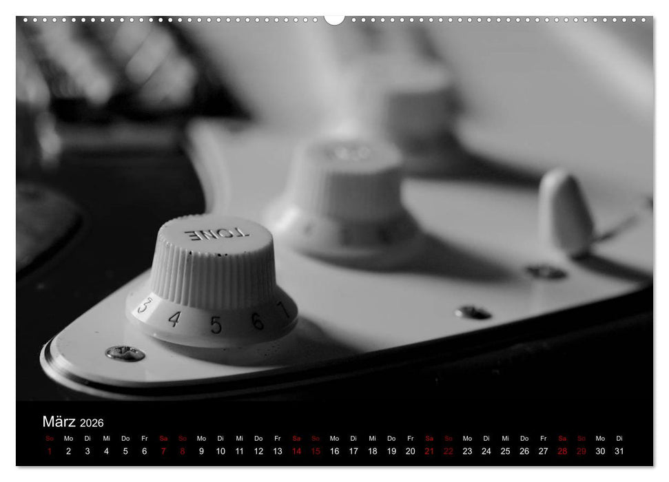 Regelwerke - Details alter E-Gitarren (CALVENDO Wandkalender 2026)
