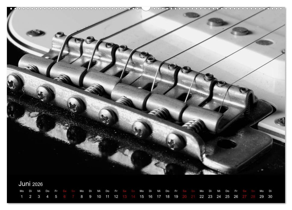 Regelwerke - Details alter E-Gitarren (CALVENDO Wandkalender 2026)