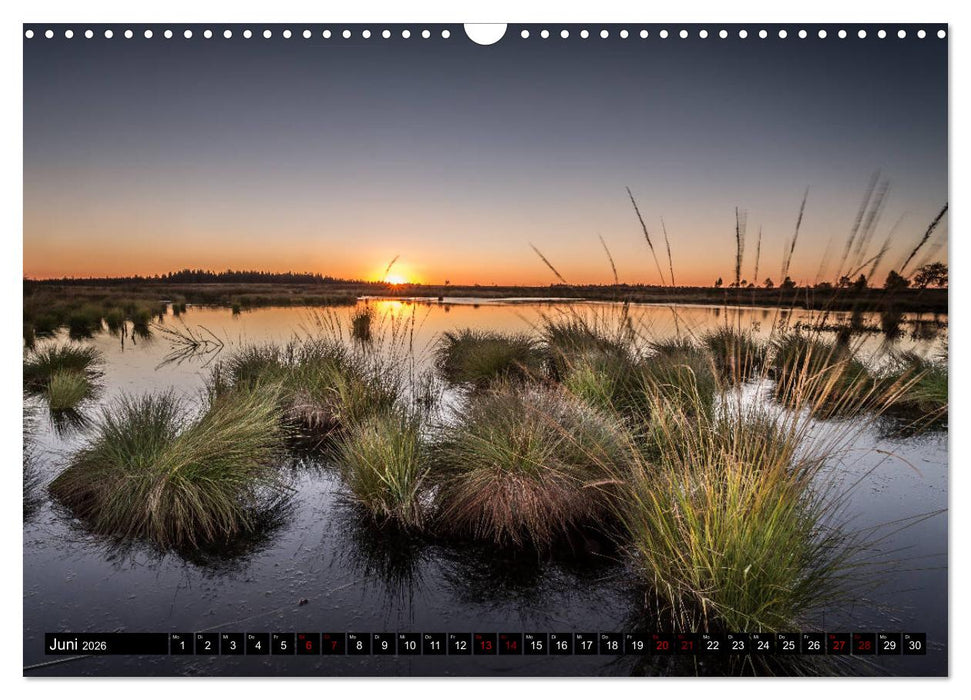 Das Hohe Venn (CALVENDO Wandkalender 2026)