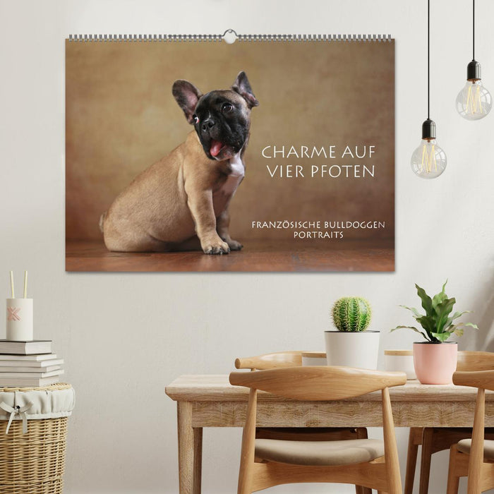 Charme auf vier Pfoten - Französische Bulldoggen Portraits (CALVENDO Wandkalender 2026)