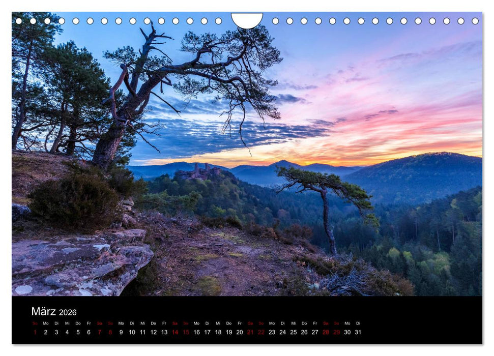 Sagenhafter Pfälzerwald (CALVENDO Wandkalender 2026)