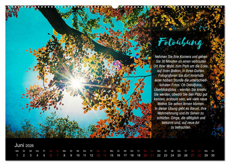 Die Schönheit der Natur - Naturfotografie-Kalender mit Foto- und Kreativübungen (CALVENDO Wandkalender 2026)