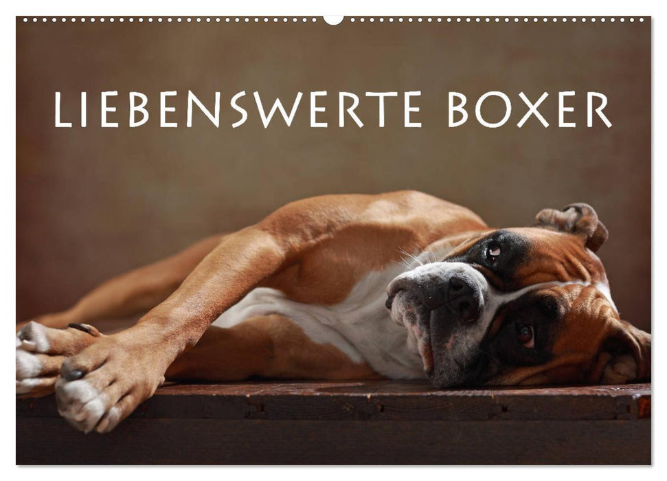 Liebenswerte Boxer (CALVENDO Wandkalender 2026)