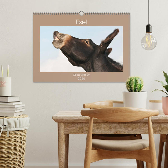 Esel - Sixtus Loreley (CALVENDO Wandkalender 2026)