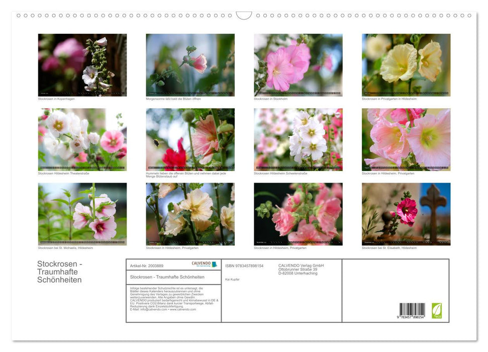 Stockrosen - Traumhafte Schönheiten (CALVENDO Wandkalender 2026)