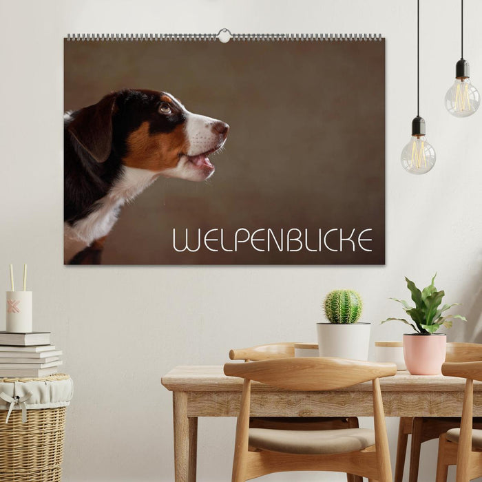Welpenblicke (CALVENDO Wandkalender 2026)