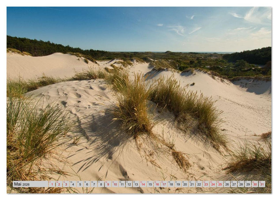 Ungewöhnliches Nordholland (CALVENDO Wandkalender 2026)