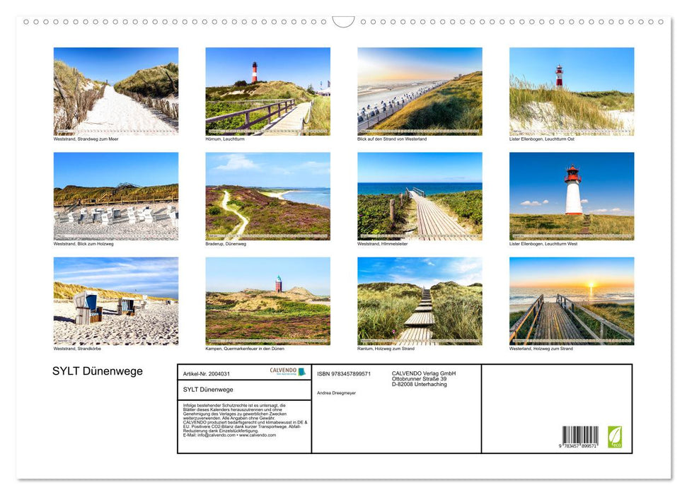 SYLT Dünenwege (CALVENDO Wandkalender 2026)