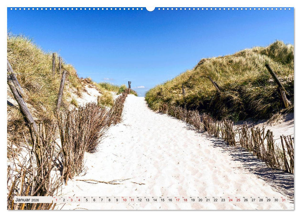 SYLT Dünenwege (CALVENDO Wandkalender 2026)