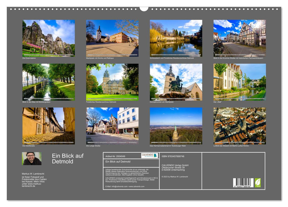 Ein Blick auf Detmold (CALVENDO Wandkalender 2026)