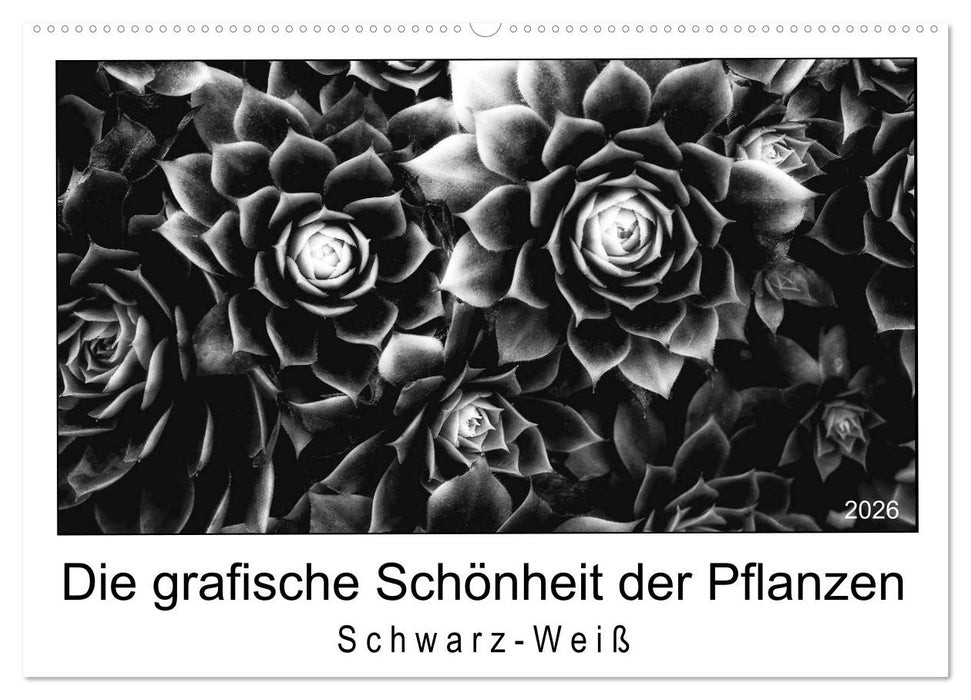 Die grafische Schönheit der Pflanzen – Schwarz-Weiß (CALVENDO Wandkalender 2026)