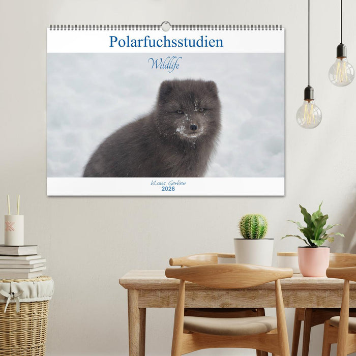 Polarfuchsstudien Wildlife (CALVENDO Wandkalender 2026)