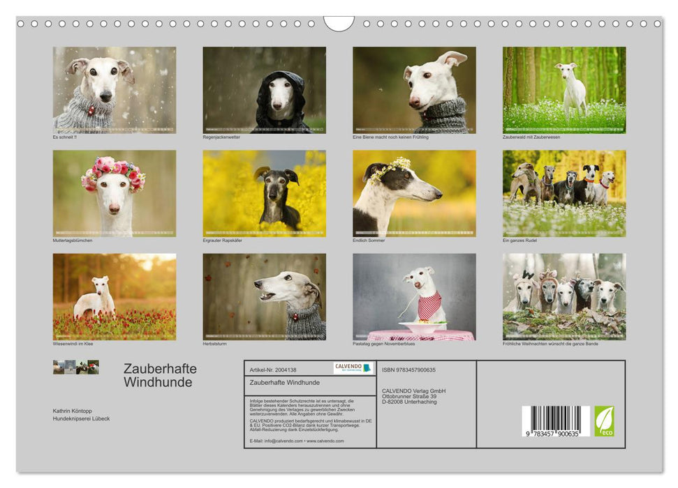 Zauberhafte Windhunde (CALVENDO Wandkalender 2026)