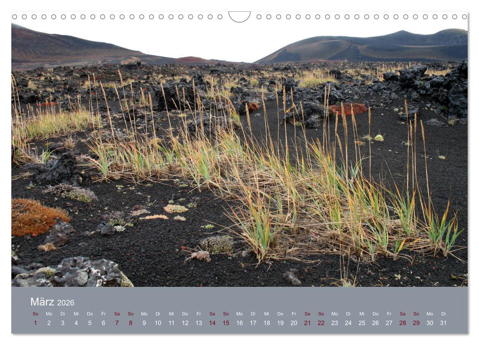 Kamtschatka - Vulkane, Asche, Eis (CALVENDO Wandkalender 2026)