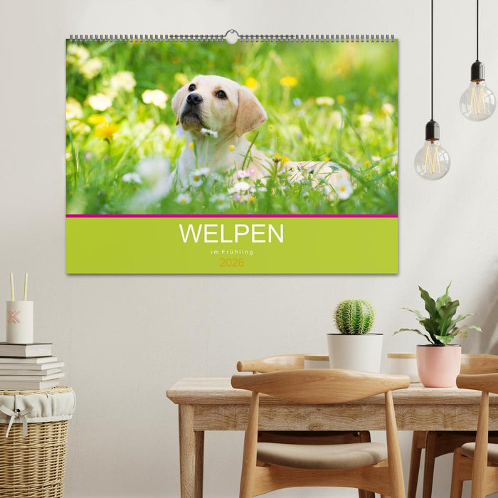 Welpen im Frühling (CALVENDO Wandkalender 2026)