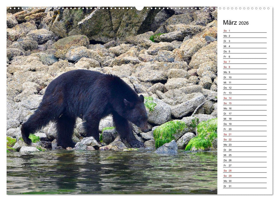 Vancouver Island - Perle im Kanadischen Westen (CALVENDO Wandkalender 2026)