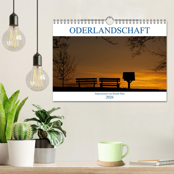 Oderlandschaft (CALVENDO Wandkalender 2026)