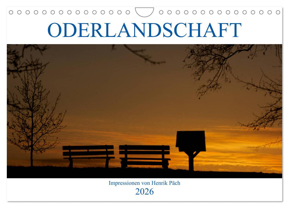 Oderlandschaft (CALVENDO Wandkalender 2026)