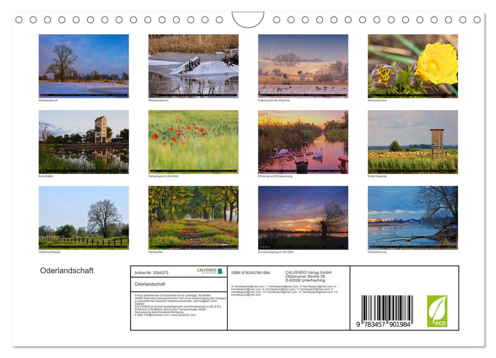 Oderlandschaft (CALVENDO Wandkalender 2026)