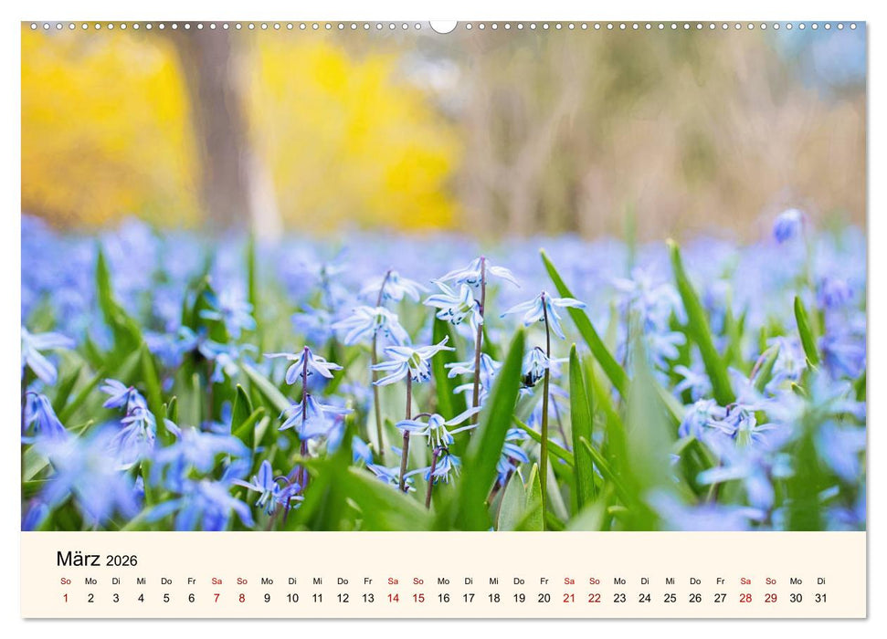 Die Jahreszeiten. Magie des Wandels (CALVENDO Wandkalender 2026)