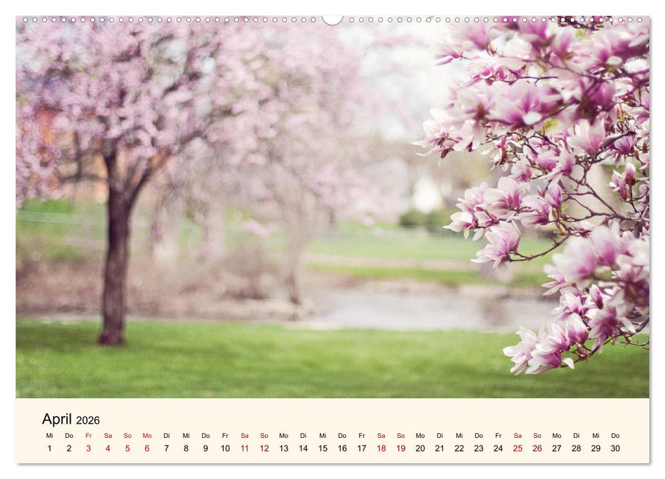 Die Jahreszeiten. Magie des Wandels (CALVENDO Wandkalender 2026)