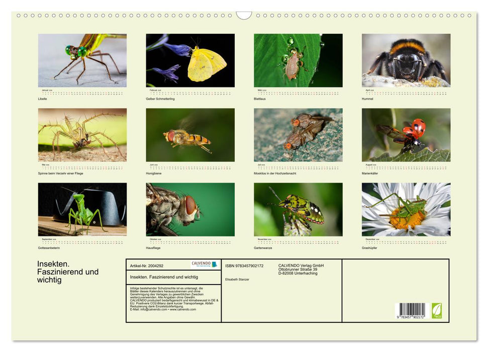 Insekten. Faszinierend und wichtig (CALVENDO Wandkalender 2026)