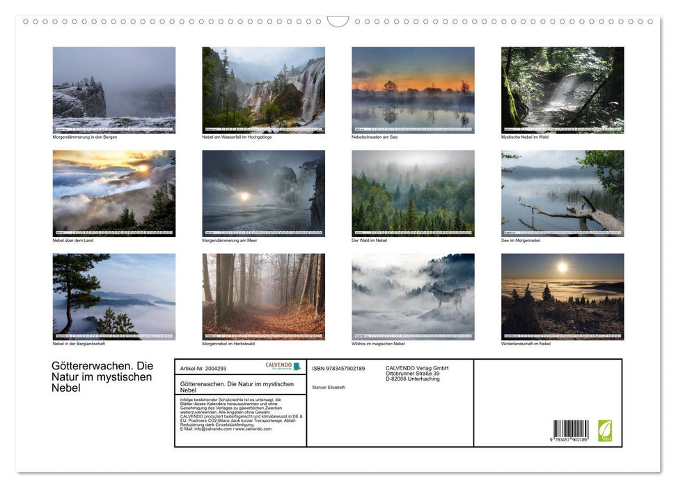 Göttererwachen. Die Natur im mystischen Nebel (CALVENDO Wandkalender 2026)