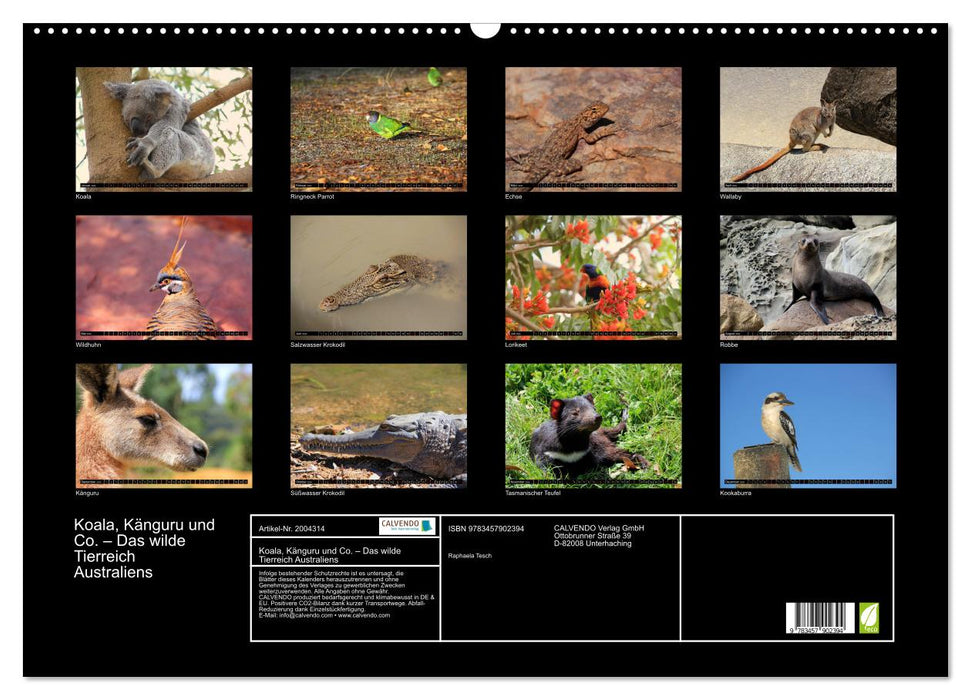Koala, Känguru und Co. – Das wilde Tierreich Australiens (CALVENDO Wandkalender 2026)