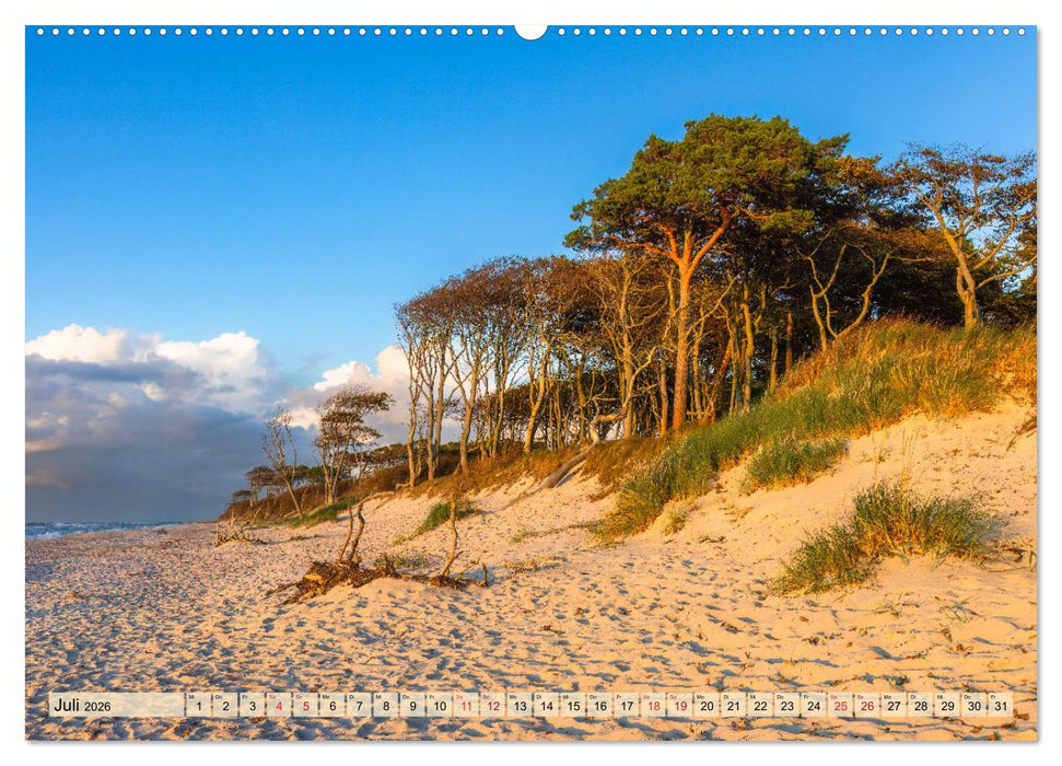 Fischland-Darß-Zingst 2026 Impressionen einer Halbinsel (CALVENDO Premium Wandkalender 2026)