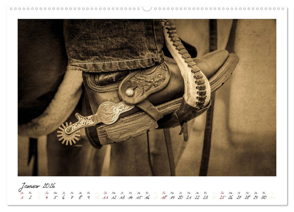 Mecklenburgs Wilder Westen (CALVENDO Wandkalender 2026)