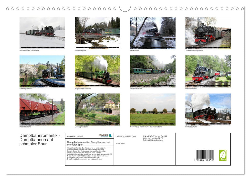 Dampfbahnromantik - Dampfbahnen auf schmaler Spur (CALVENDO Wandkalender 2026)
