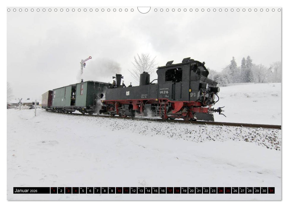 Dampfbahnromantik - Dampfbahnen auf schmaler Spur (CALVENDO Wandkalender 2026)