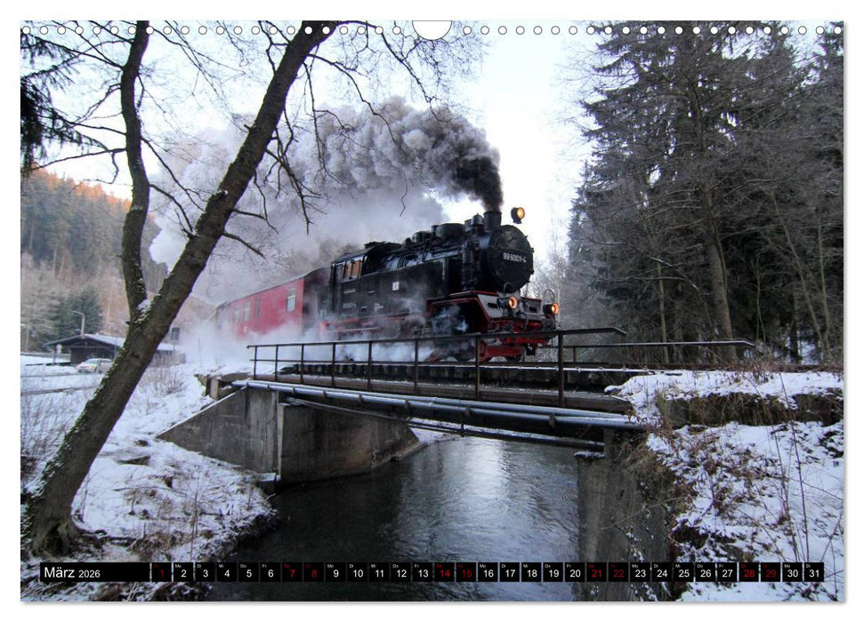 Dampfbahnromantik - Dampfbahnen auf schmaler Spur (CALVENDO Wandkalender 2026)