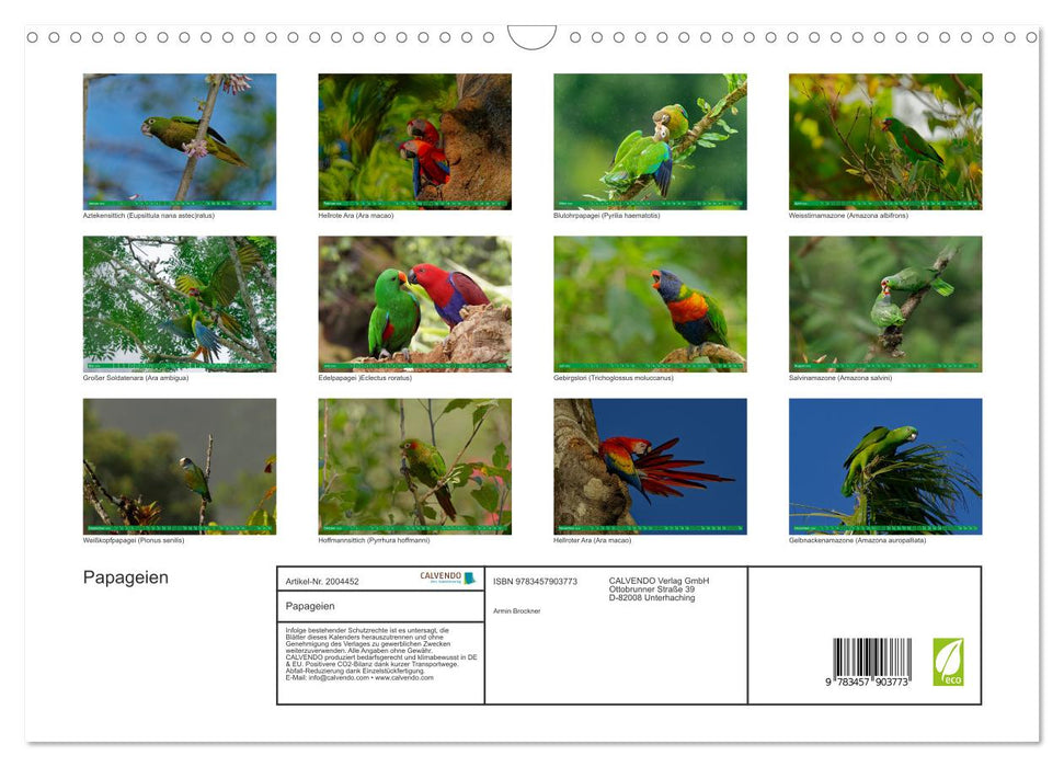 Papageien (CALVENDO Wandkalender 2026)