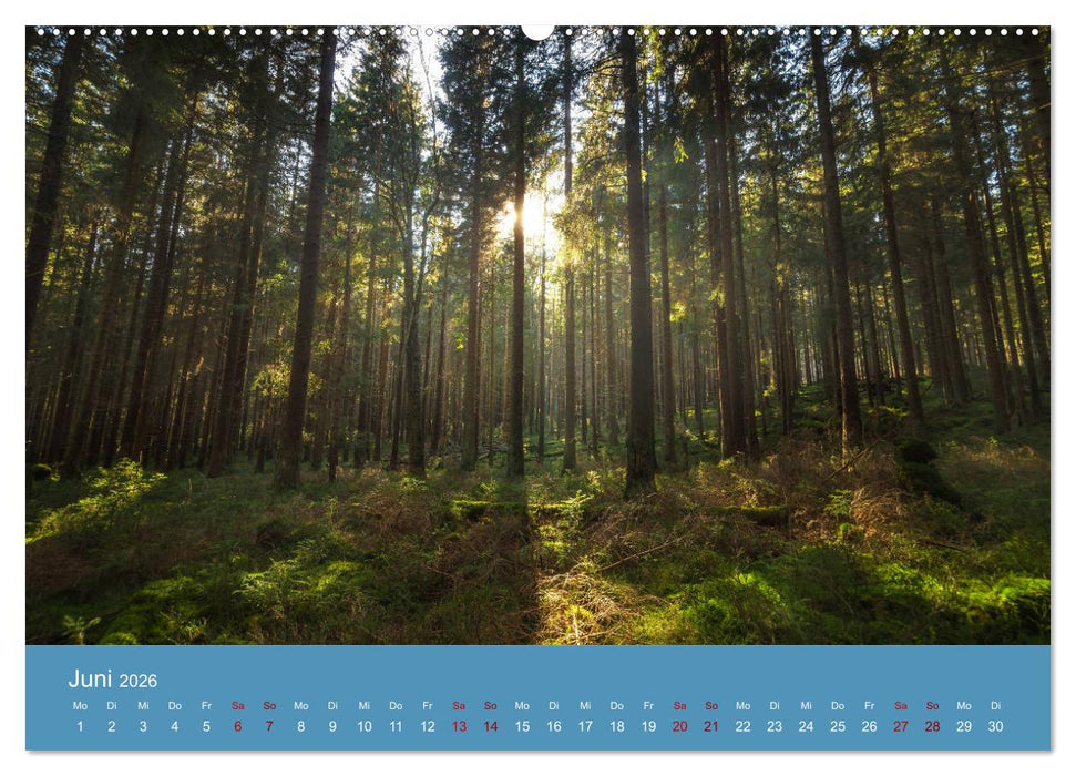 Harz Impressionen (CALVENDO Wandkalender 2026)