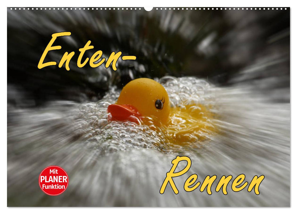 Enten-Rennen (CALVENDO Wandkalender 2026)