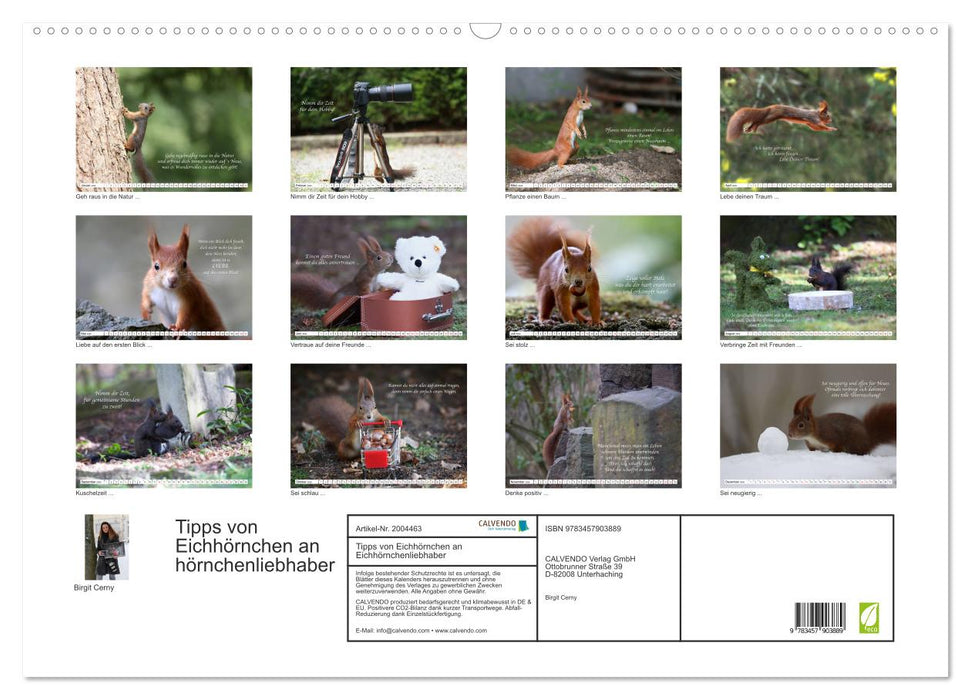 Tipps von Eichhörnchen an Eichhörnchenliebhaber (CALVENDO Wandkalender 2026)