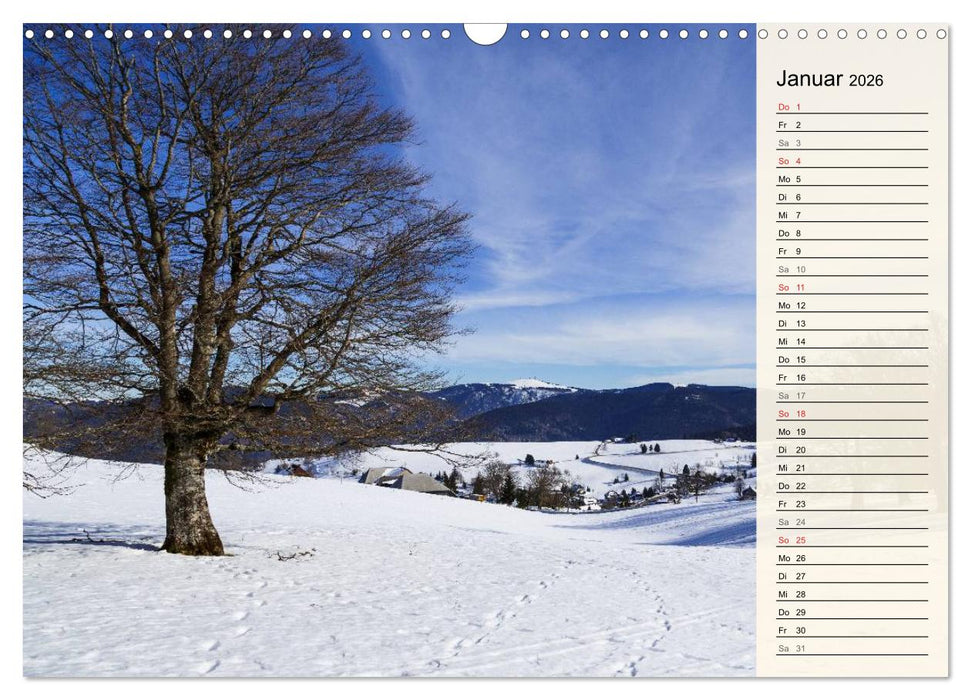 Auf Schusters Rappen... Südlicher Oberrhein und Südschwarzwald (CALVENDO Wandkalender 2026)