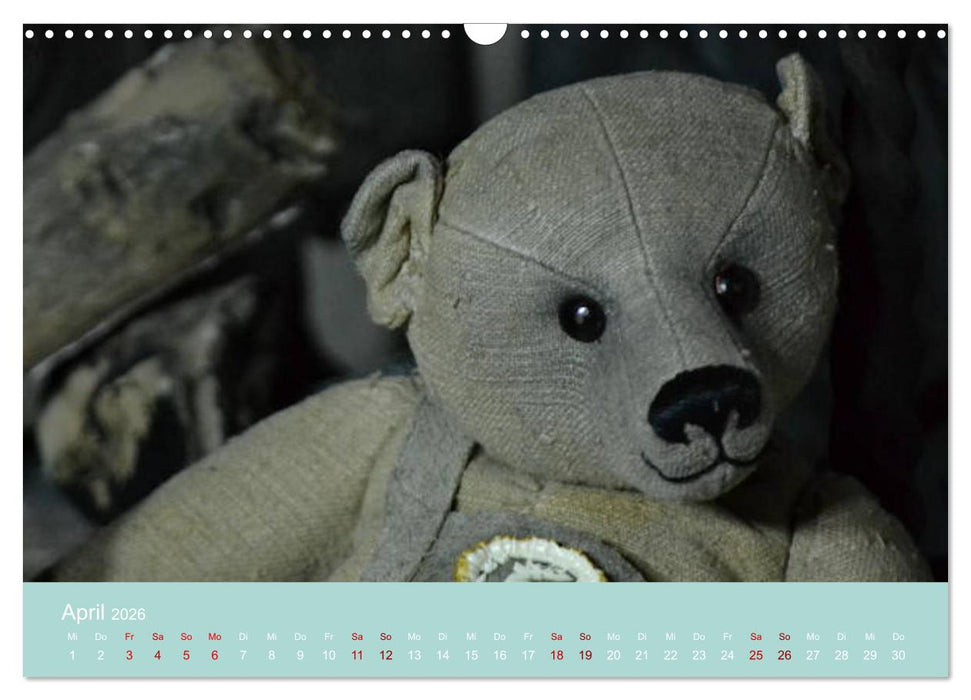 Robin der Bär (CALVENDO Wandkalender 2026)