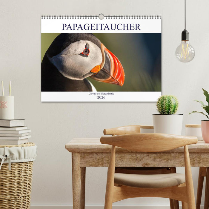 Papageitaucher: Clowns des Nordatlantik (CALVENDO Wandkalender 2026)