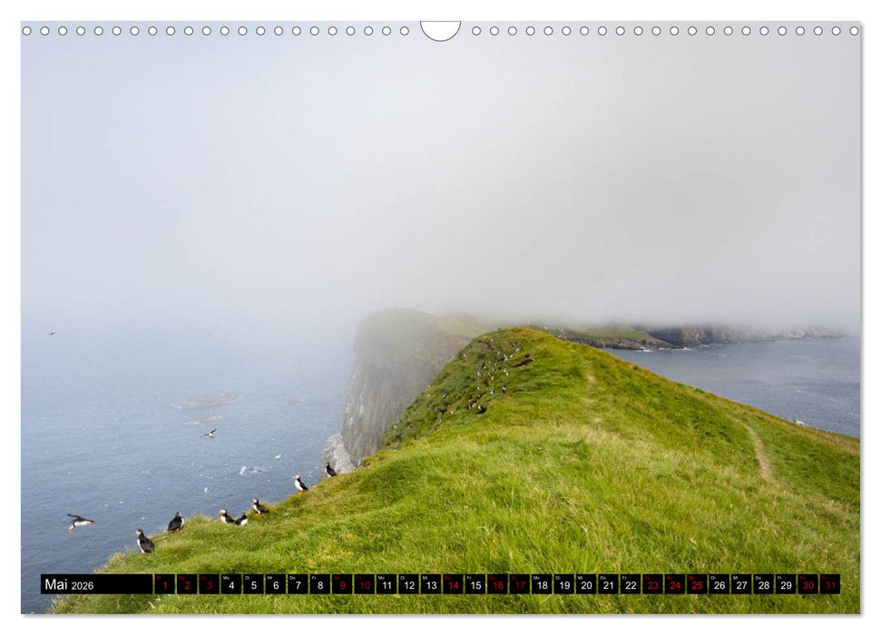 Papageitaucher: Clowns des Nordatlantik (CALVENDO Wandkalender 2026)