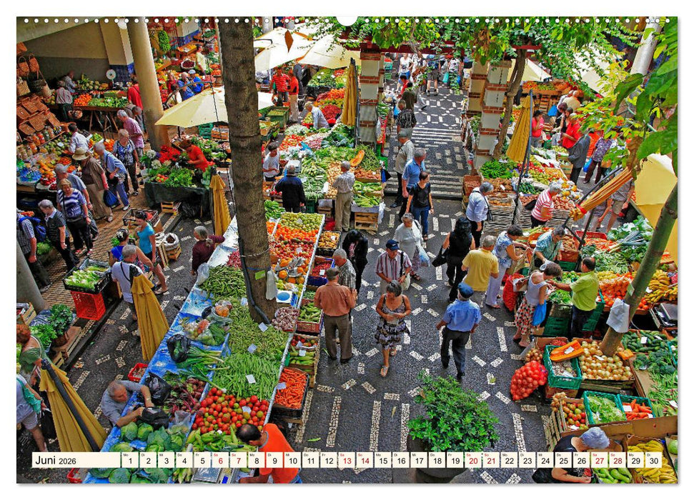 Funchal - Die Hauptstadt von Madeira (CALVENDO Wandkalender 2026)