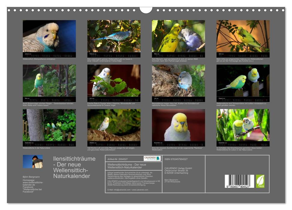 Wellensittichträume - Der neue Wellensittich-Naturkalender (CALVENDO Wandkalender 2026)