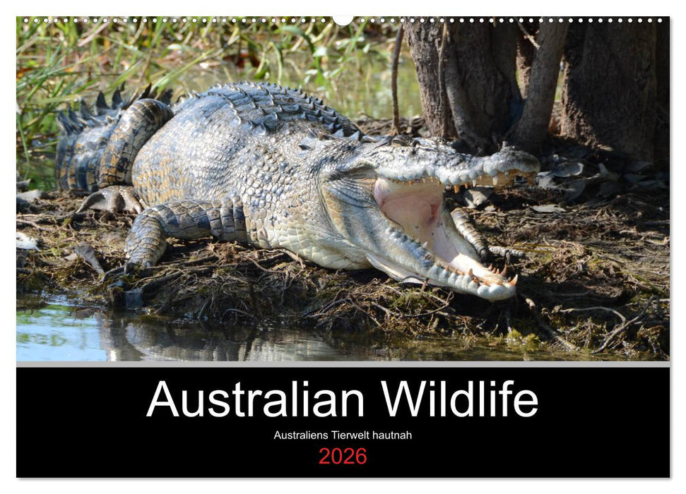 Australian Wildlife (CALVENDO Wandkalender 2026)