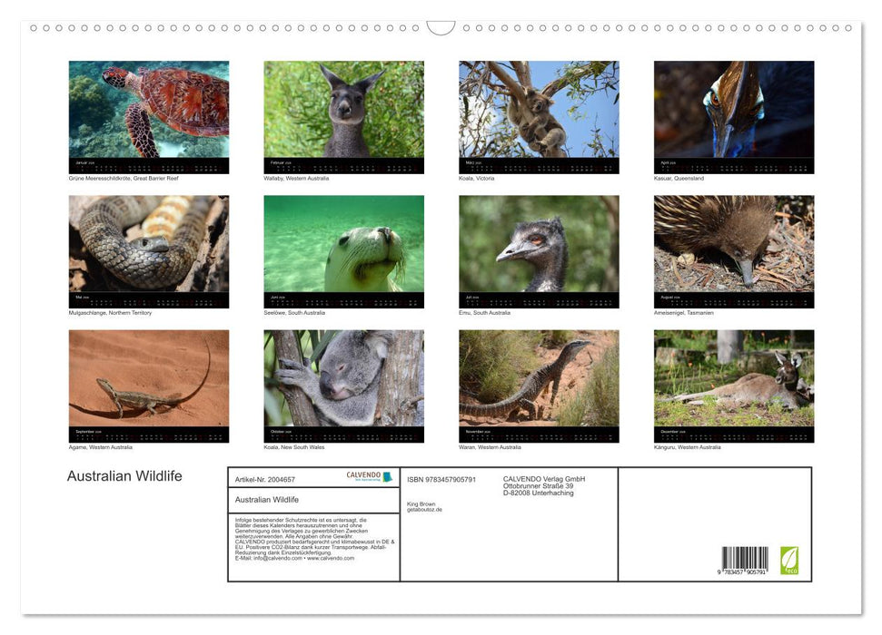 Australian Wildlife (CALVENDO Wandkalender 2026)