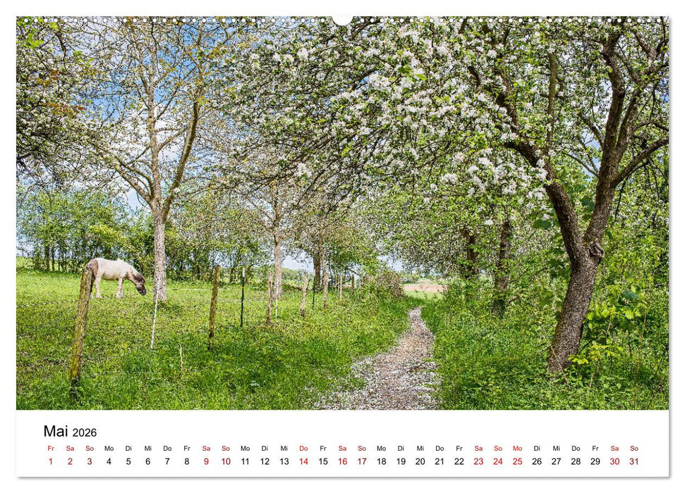 Höhepunkte des Siebengebirges (CALVENDO Wandkalender 2026)