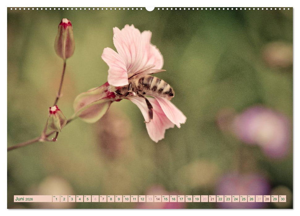 Wildwuchs 2026 (CALVENDO Wandkalender 2026)