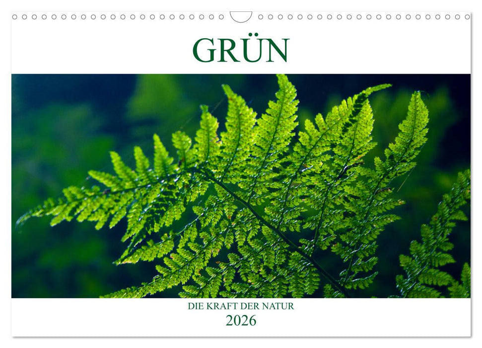 GRÜN . Die Kraft der Natur (CALVENDO Wandkalender 2026)