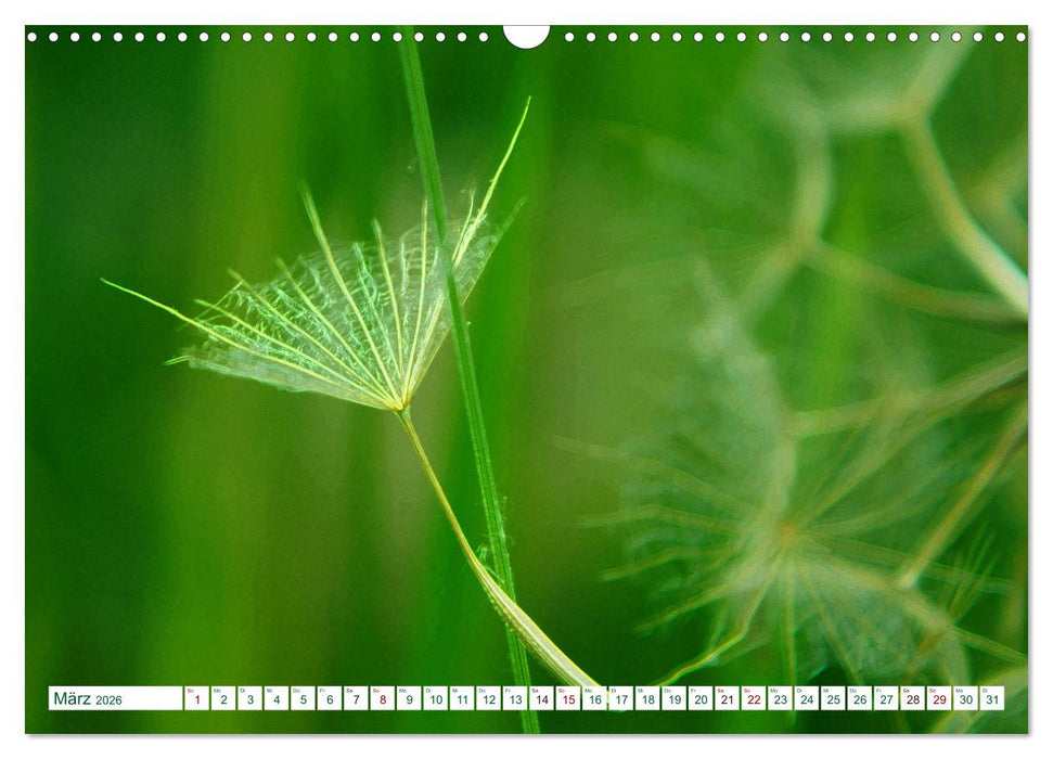 GRÜN . Die Kraft der Natur (CALVENDO Wandkalender 2026)