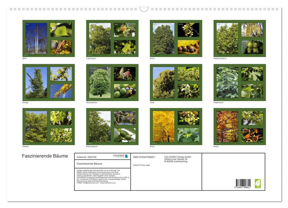 Faszinierende Bäume (CALVENDO Wandkalender 2026)